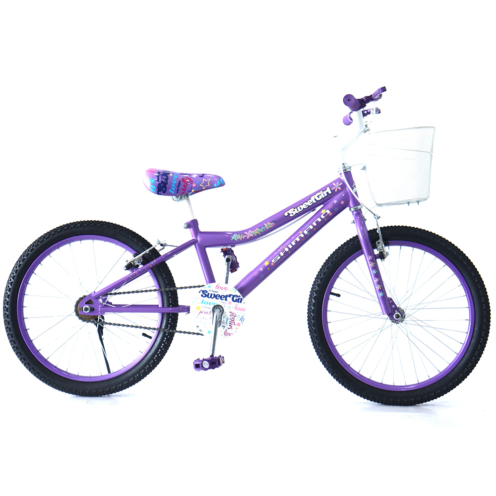Bicicleta Juvenil Para Niña 20 Pulgadas – Do it Center